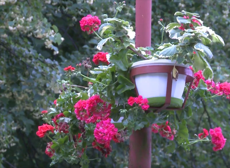 Бардеевские Купели