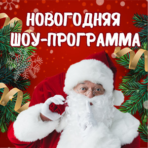 Заказ деда мороза на дом