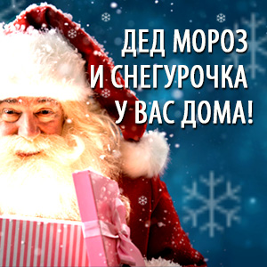 Заказ деда мороза на дом