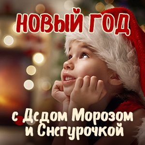 Заказ деда мороза на дом