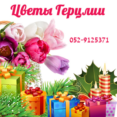 Цветочные подарки к новому году от цветочного магазина «Перхей Герцлия» Цветочные подарки к новому году от цветочного магазина «Перхей Герцлия»