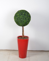 Подарки к Новому году от цветочного магазина в Петах Тикве «ОМАНУТ БЭПЕРАХ»