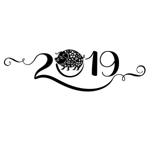 Встреча 2019 года Желтой Земляной Свиньи – полезные советы